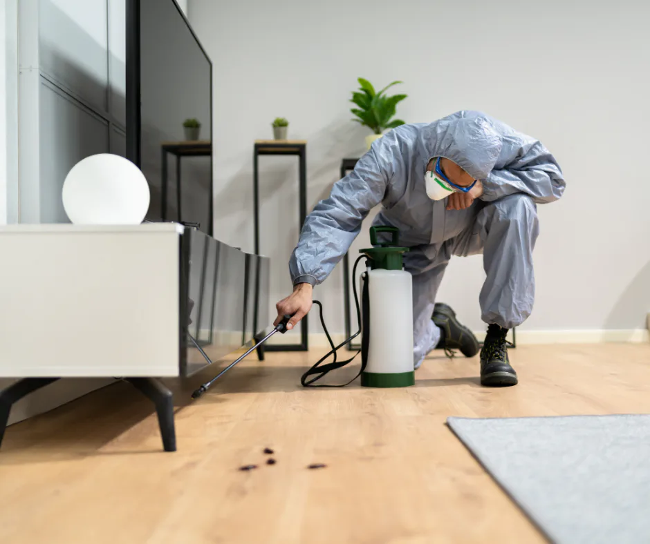 شركة مكافحة حشرات في خورفكان – الفجيرة 0551615797 ضمان مدى الحياة
