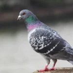 313