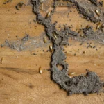 AdobeStock 321193705